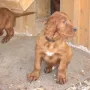 Mein Name ist Odin.