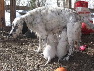 Mamas Milch ist das Beste..