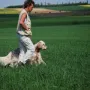 Texas beim Training.
