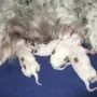 Mamas Milch ist einfach lecker..