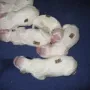 Kuscheln ist einfach schön.