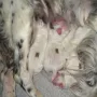 Und auch die zweite Nacht überstanden...