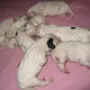 Und schon wieder sind wir einen Tag älter.