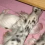 Meine Mama hält mich..
