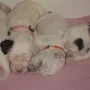 Schlafen ist unsere Stärke!