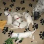 Mama schaut ob wir nichts anstellen.