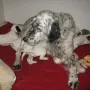 Und Mama kümmert sich um uns. 