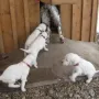 Schnell der Mama nach.