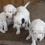 Wir sind ganz schön frech.