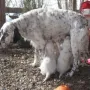 Mamas Milch ist das Beste..