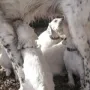 Ich auch...