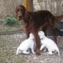 Kathy "spielt" wieder mal Mama.