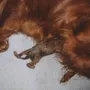 Der erste Gebirgsjäger-Bub ist geboren; 330 Gramm um 18:45 Uhr