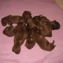 Jetzt sind wir 5 Tage alt.