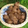 Was ist los da draussen?? 