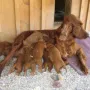 Bei Mama Donerl an der Milchbar.