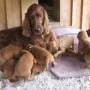 Unsere Mama ist auch dabei.