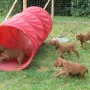 Da gehts aber ab...