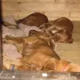 Wir pennen schon in unserem Haus..