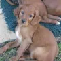 Ich bin doch eine tolle Dame; oder?