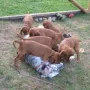 Jetzt haben wir sie unter uns..