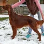 Kathy