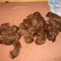 schlafen, schlafen...