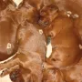 Zusammen kuscheln ist traumhaft.