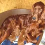 Und wir zwei haben Mama für uns alleine.
