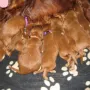 Mamas Milch ist die beste..