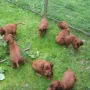Wir sind voll in "Action"
