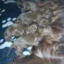 Wir kuscheln schone gerne.