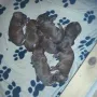 Kuscheln ist immmmer schön
