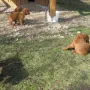 Bei diesem Wetter haben wir jede Menge Spaß