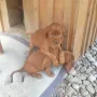 Was tut sich heute noch alles?