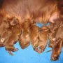 Alle wohlauf nach der 1. Nacht
