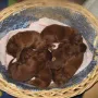 Wir werden mal kurz weggepackt..