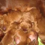 Num sind wir 5 Tage alt.. und uns geht´s allen gut