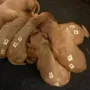Wachsen und gedeihen