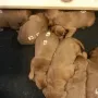 Mama Kathy hat gut Milch, wie man sieht