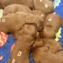 Und wir entwickeln uns prächtig