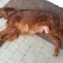 Mama Kathy braucht auch mal eine Auszeit