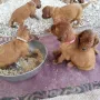 Auch die erste Mahlzeit draussen war gut