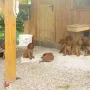 So viele Neugierige die uns sehen wollen...