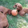 Alles ist sehr interessant