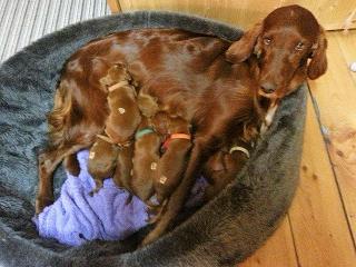 Und Mama Remember Winny ist total stolz auf ihre Kinder