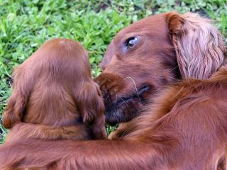 Mama und Kind