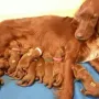 Die stolze Mama Remember Winny