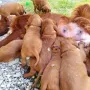 Und Mamas Milchbar gehört uns