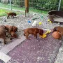 Nun sind wir schon mächtig aktiv